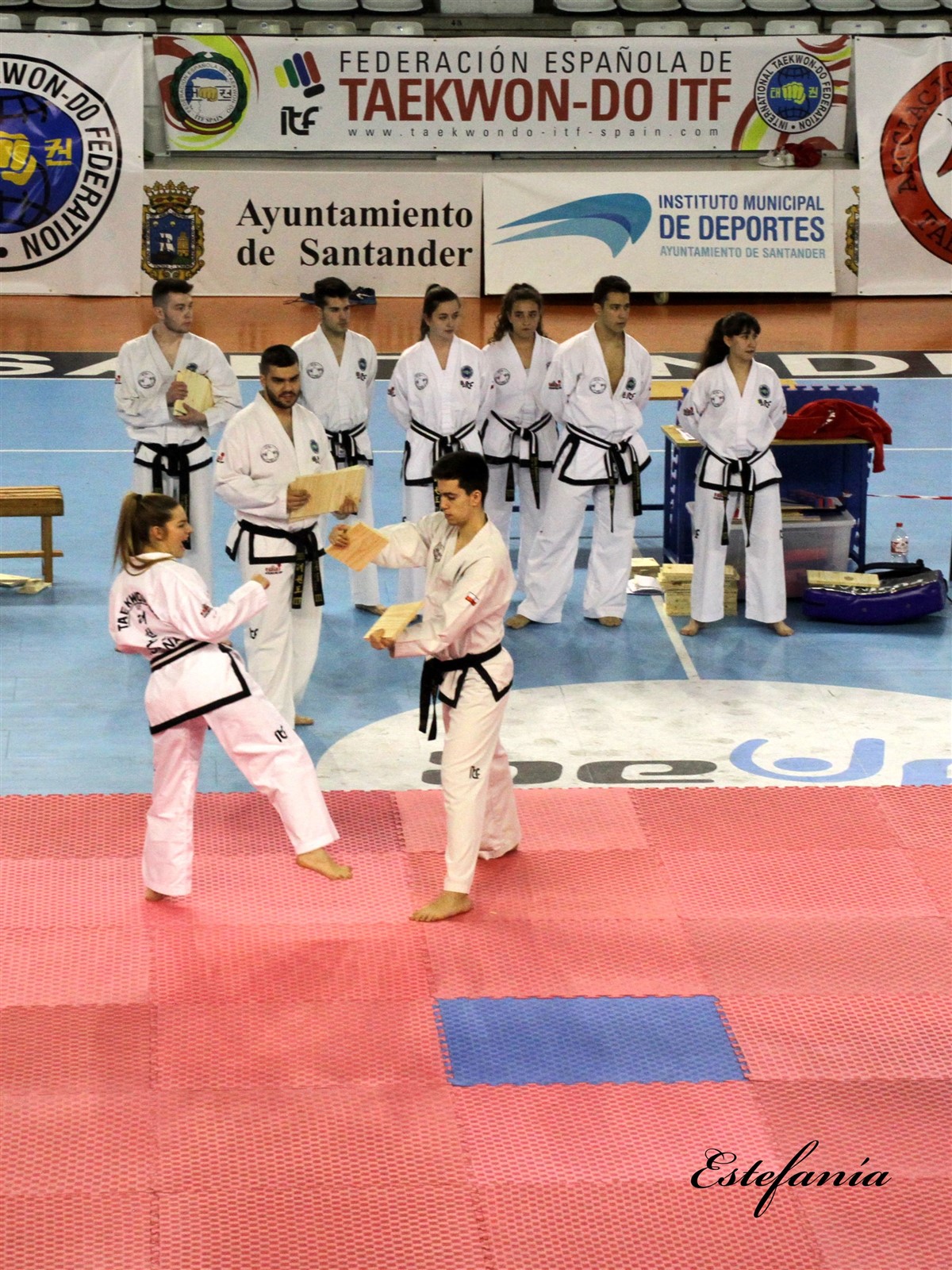 Taekwondo (219).jpg